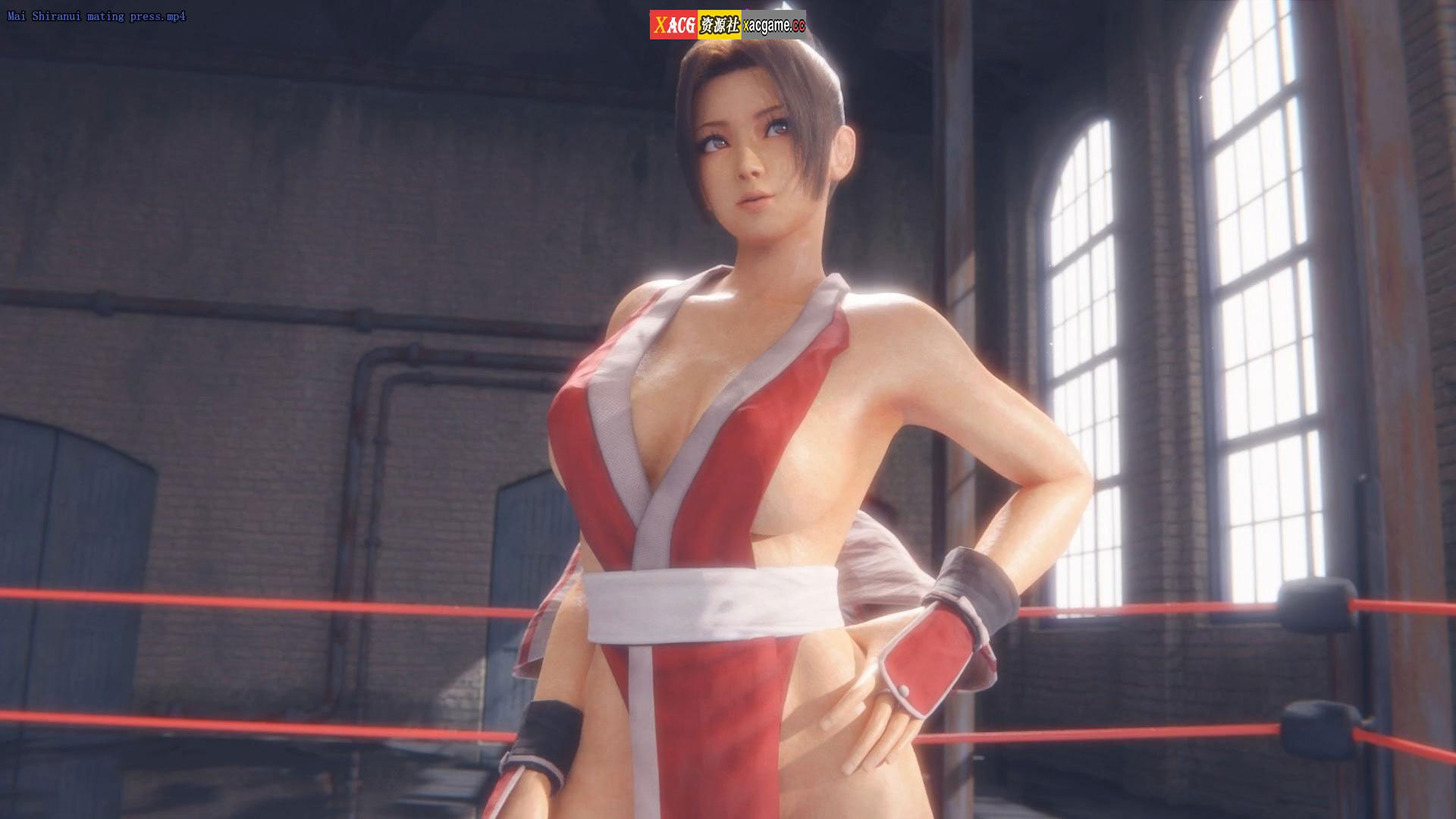 【3D同人/全动态】Lvl3Toaster 1月新作：D.va中计+不知火舞擂台 全系列精品合集【4G】