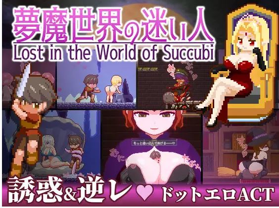 [电脑/日系ACT/官中/全动态]沉沦梦魔世界 夢魔世界の迷い人 Ver1.0.3 官方中文步兵版[543M]